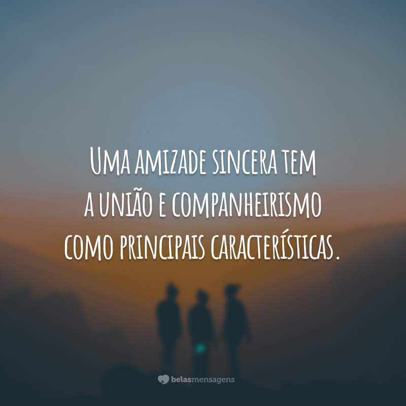 Uma amizade sincera tem a união e companheirismo como principais características.