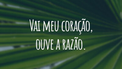 Vai meu coração, ouve a razão.
