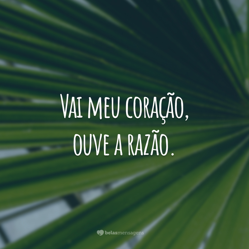 Vai meu coração, ouve a razão.