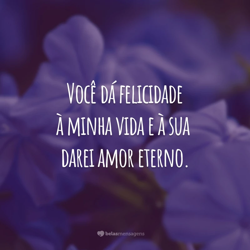 Você dá felicidade à minha vida e à sua darei amor eterno.