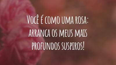 Você é como uma rosa: arranca os meus mais profundos suspiros!
