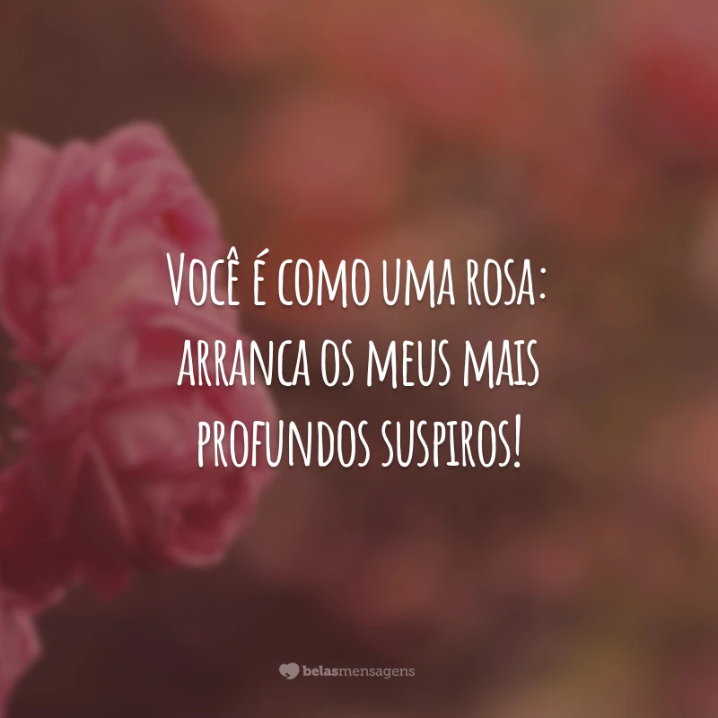 Você é como uma rosa: arranca os meus mais profundos suspiros!