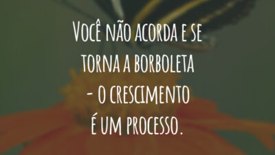 Você não acorda e se torna a borboleta - o crescimento é um processo.