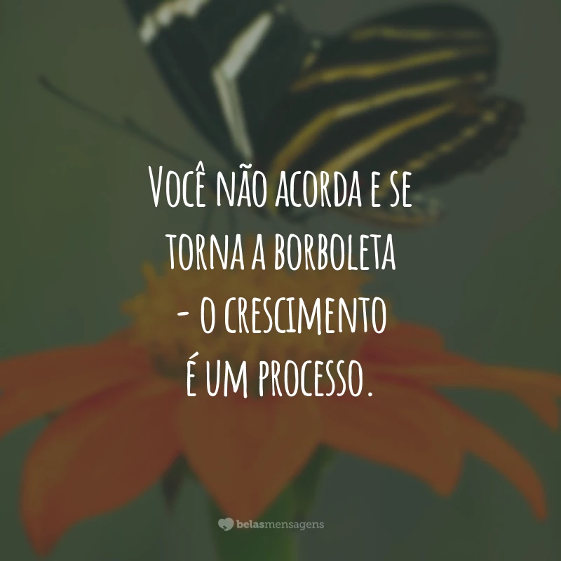 Você não acorda e se torna a borboleta - o crescimento é um processo.