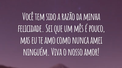 Você tem sido a razão da minha felicidade. Sei que um mês é pouco, mas eu te amo como nunca amei ninguém. Viva o nosso amor!