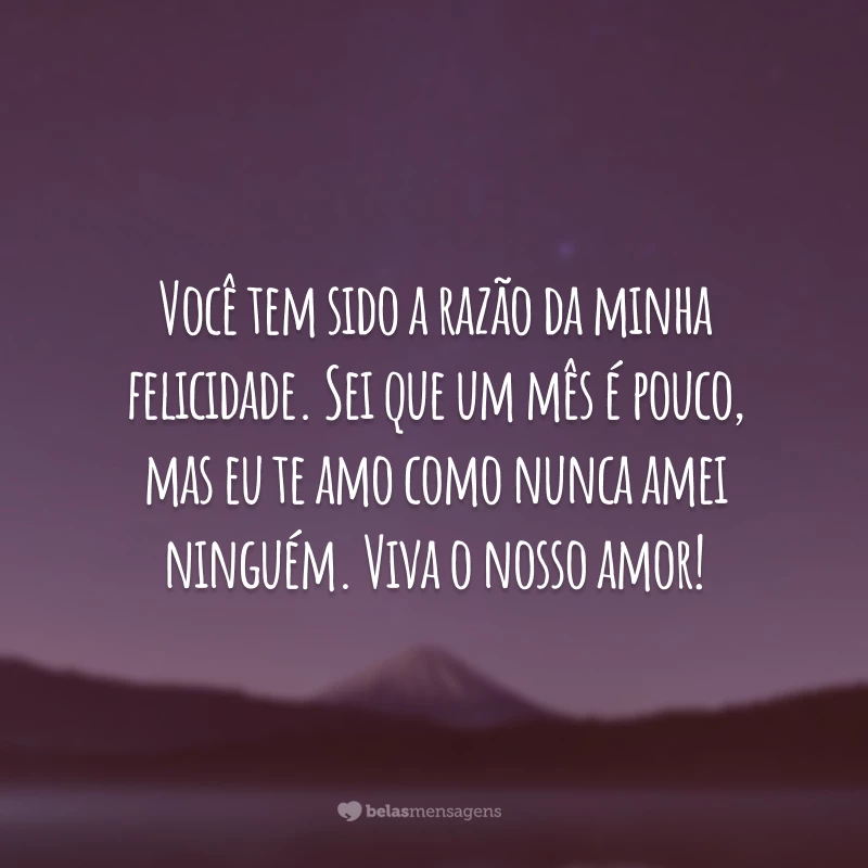 Você tem sido a razão da minha felicidade. Sei que um mês é pouco, mas eu te amo como nunca amei ninguém. Viva o nosso amor!