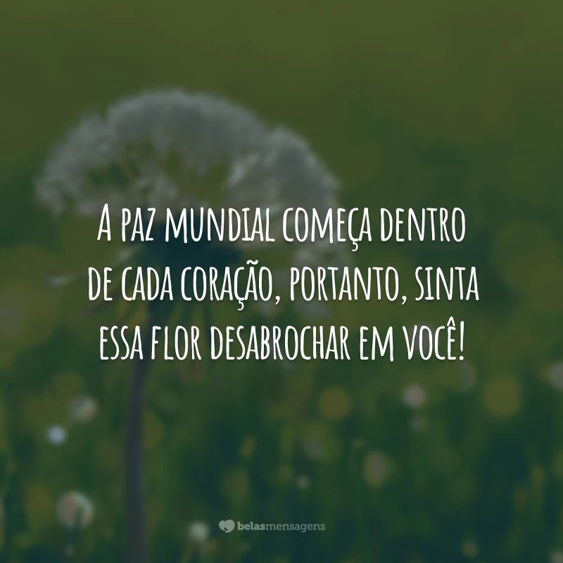 A paz mundial começa dentro de cada coração, portanto, sinta essa flor desabrochar em você!