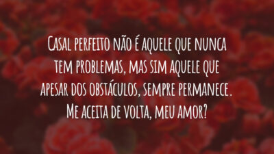 Casal perfeito não é aquele que nunca tem problemas, mas sim aquele que apesar dos obstáculos, sempre permanece. Me aceita de volta, meu amor?