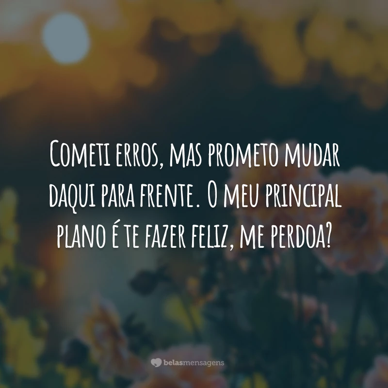 Cometi erros, mas prometo mudar daqui para frente. O meu principal plano é te fazer feliz, me perdoa?