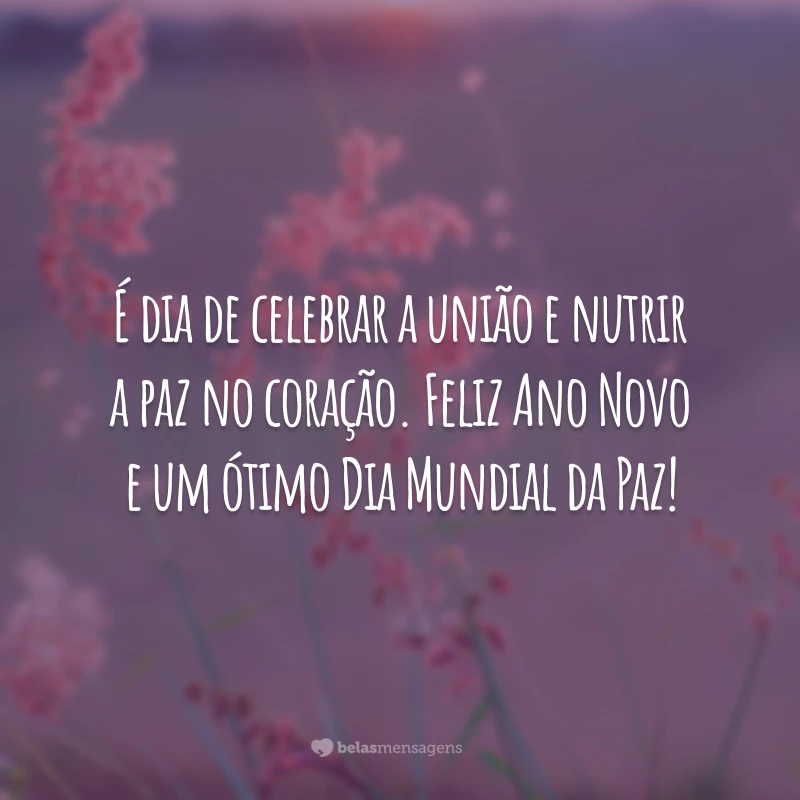 É dia de celebrar a união e nutrir a paz no coração. Feliz Ano Novo e um ótimo Dia Mundial da Paz!