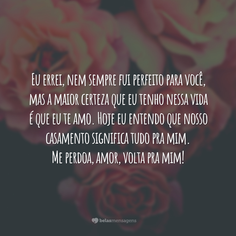 Eu errei, nem sempre fui perfeito para você, mas a maior certeza que eu tenho nessa vida é que eu te amo. Hoje eu entendo que nosso casamento significa tudo pra mim. Me perdoa, amor, volta pra mim!