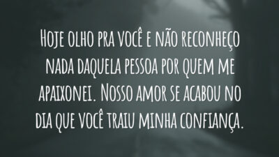 Hoje olho pra você e não reconheço nada daquela pessoa por quem me apaixonei. Nosso amor se acabou no dia que você traiu minha confiança.