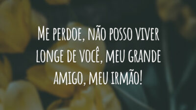 Me perdoe, não posso viver longe de você, meu grande amigo, meu irmão!