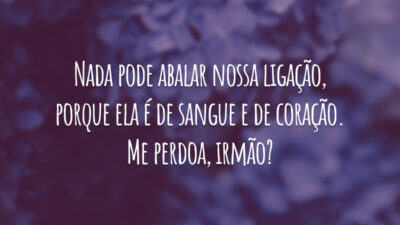 Nada pode abalar nossa ligação, porque ela é de sangue e de coração. Me perdoa, irmão?