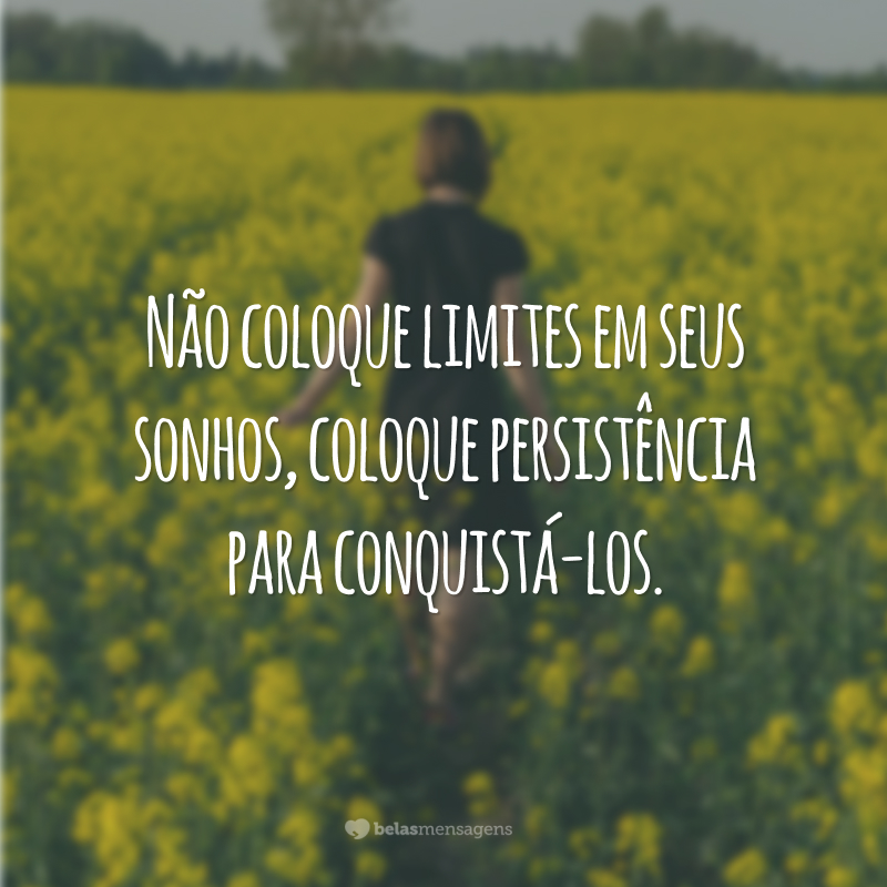 Não coloque limites em seus sonhos, coloque persistência para conquistá-los.