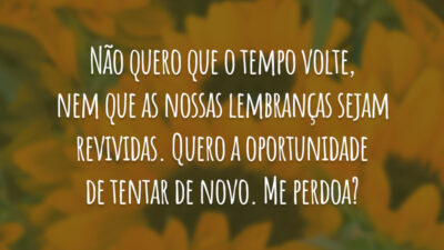 Não quero que o tempo volte, nem que as nossas lembranças sejam revividas. Quero a oportunidade de tentar de novo. Me perdoa?