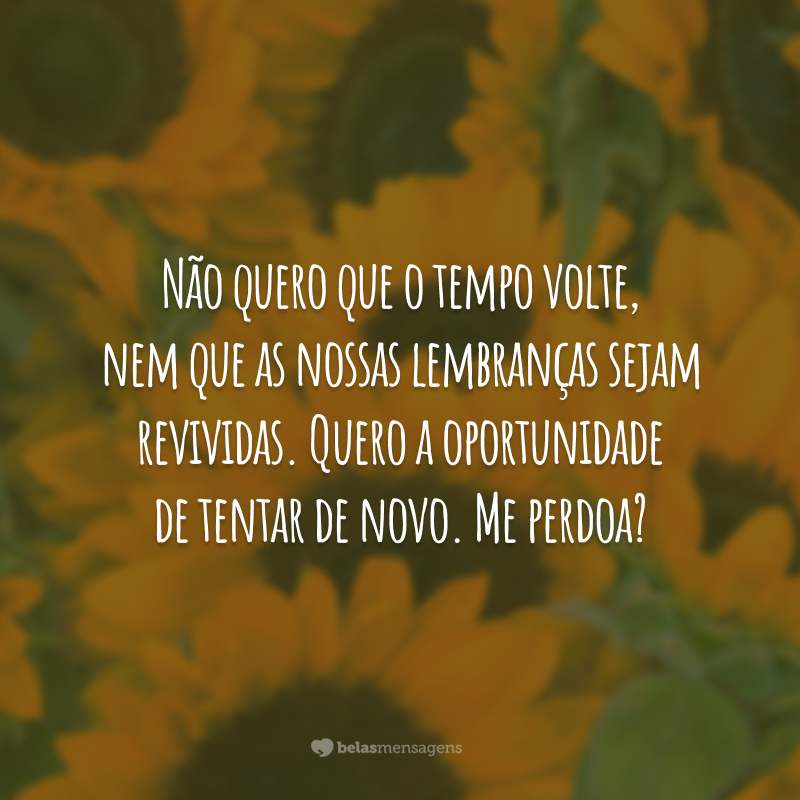 Não quero que o tempo volte, nem que as nossas lembranças sejam revividas. Quero a oportunidade de tentar de novo. Me perdoa?