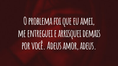 O problema foi que eu amei, me entreguei e arrisquei demais por você. Adeus amor, adeus.