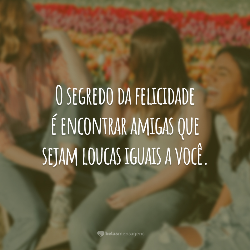 O segredo da felicidade é encontrar amigas que sejam loucas iguais a você.