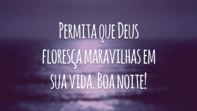 Permita que Deus floresça maravilhas em sua vida. Boa noite!