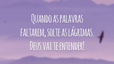 Quando as palavras faltarem, solte as lágrimas. Deus vai te entender!