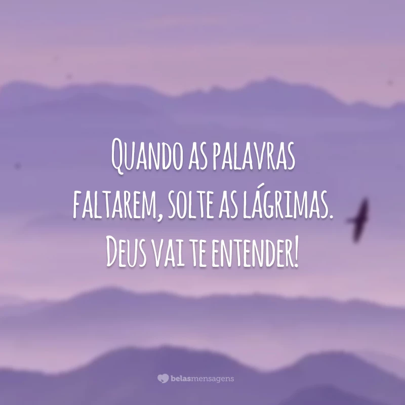 Quando as palavras faltarem, solte as lágrimas. Deus vai te entender!