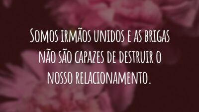 Somos irmãos unidos e as brigas não são capazes de destruir o nosso relacionamento.