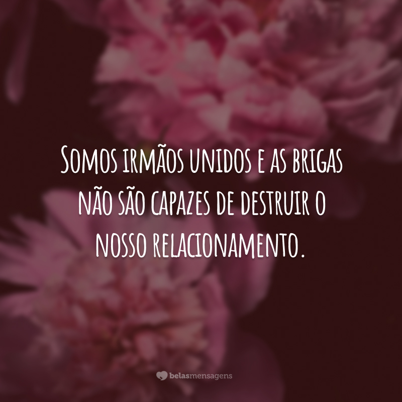 Somos irmãos unidos e as brigas não são capazes de destruir o nosso relacionamento.