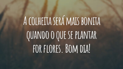 A colheita será mais bonita quando o que se plantar for flores. Bom dia!