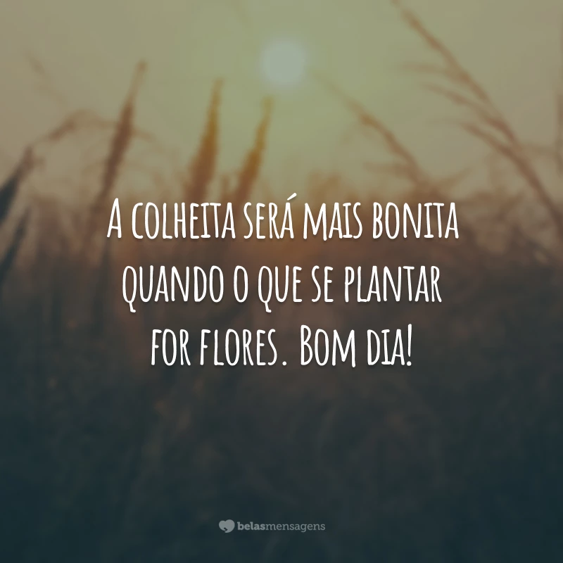 A colheita será mais bonita quando o que se plantar for flores. Bom dia!