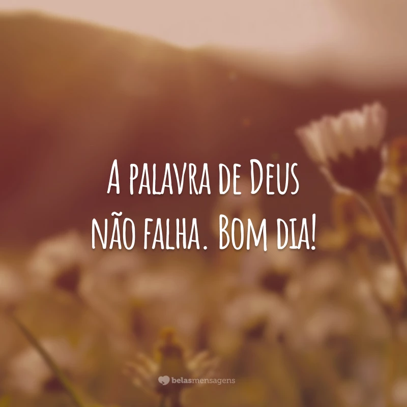 A palavra de Deus não falha. Bom dia!