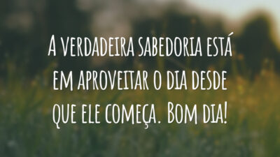 A verdadeira sabedoria está em aproveitar o dia desde que ele começa. Bom dia!
