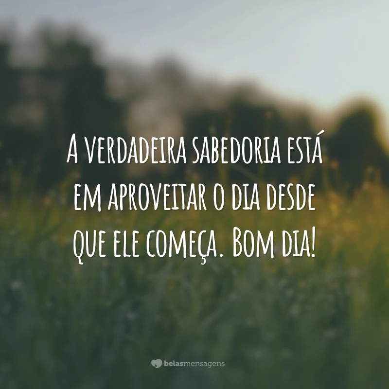 A verdadeira sabedoria está em aproveitar o dia desde que ele começa. Bom dia!