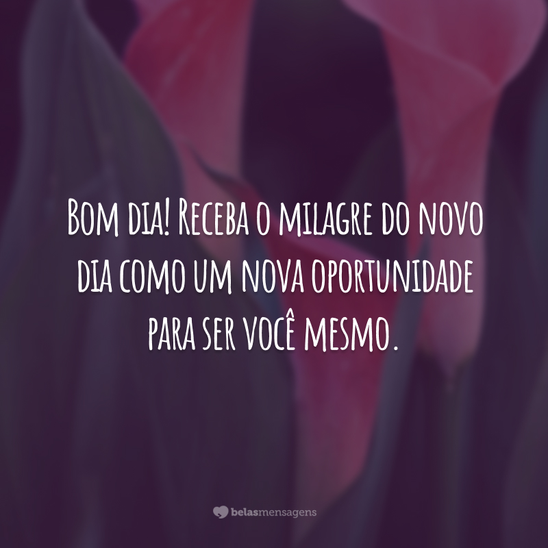 Bom dia! Receba o milagre do novo dia como um nova oportunidade para ser você mesmo.