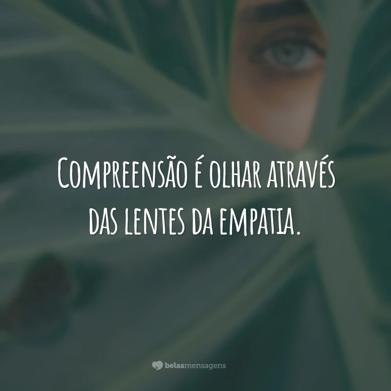 Compreensão é olhar através das lentes da empatia.