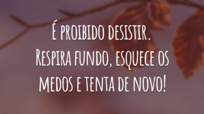É proibido desistir. Respira fundo, esquece os medos e tenta de novo!