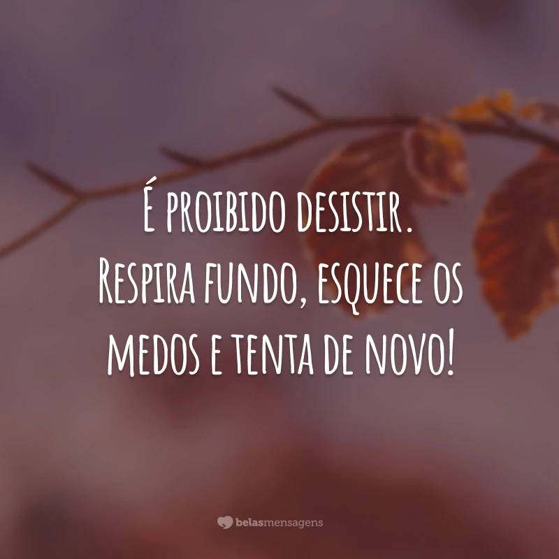 É proibido desistir. Respira fundo, esquece os medos e tenta de novo!