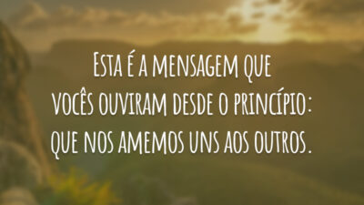 Esta é a mensagem que vocês ouviram desde o princípio: que nos amemos uns aos outros.