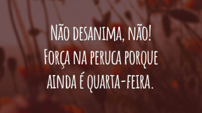 Não desanima, não! Força na peruca porque ainda é quarta-feira.