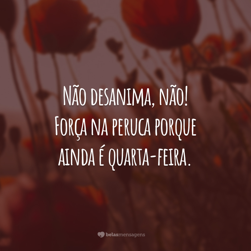 Não desanima, não! Força na peruca porque ainda é quarta-feira.