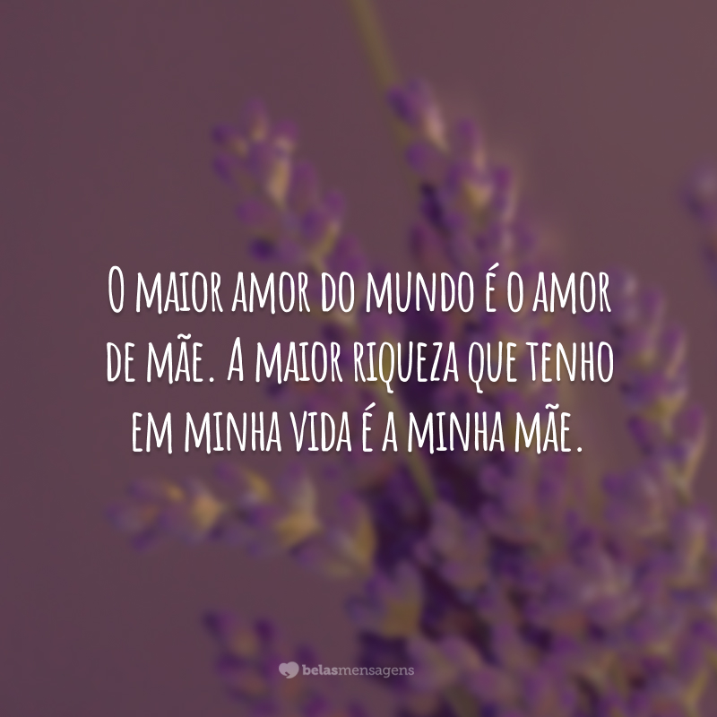 O maior amor do mundo é o amor de mãe. A maior riqueza que tenho em minha vida é a minha mãe.