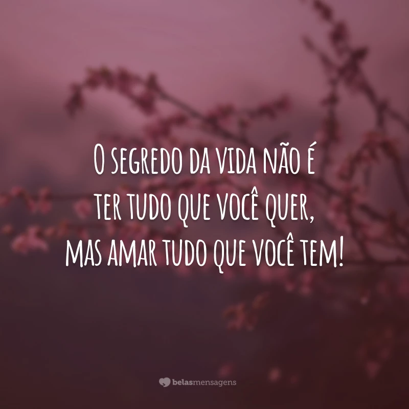 O segredo da vida não é ter tudo que você quer, mas amar tudo que você tem!