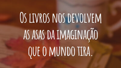 Os livros nos devolvem as asas da imaginação que o mundo tira.