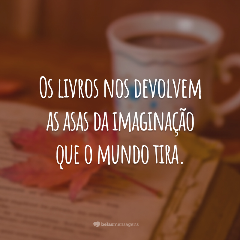 Os livros nos devolvem as asas da imaginação que o mundo tira.