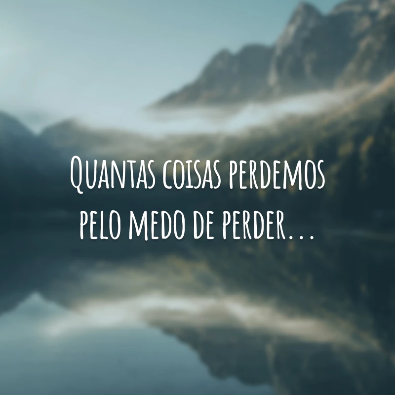 Quantas coisas perdemos pelo medo de perder...