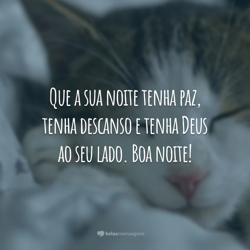 Que a sua noite tenha paz, tenha descanso e tenha Deus ao seu lado. Boa noite!