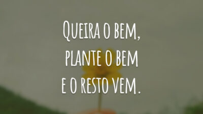 Queira o bem, plante o bem e o resto vem.
