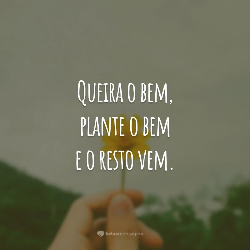 Queira o bem, plante o bem e o resto vem.