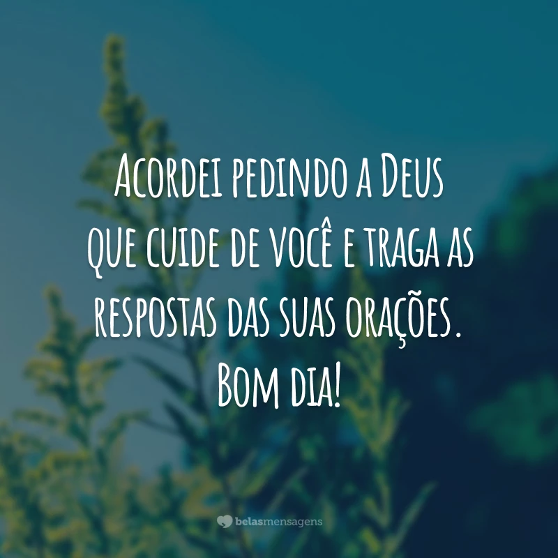 Acordei pedindo a Deus que cuide de você e traga as respostas das suas orações. Bom dia!