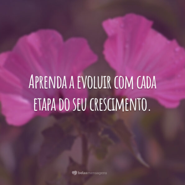 40 frases de transformação para evoluir a cada dia